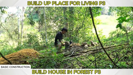 House In Forest 3: Dig a cave as shelter to stay in forest | Camping Amazing