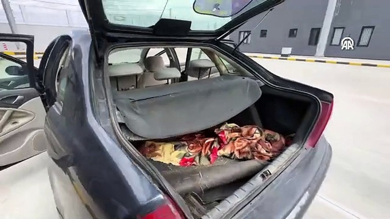 Pazarkule Sınır Kapısı'nda bir otomobilde aralarında kanguruların da olduğu cins hayvanlar ele geçirildi