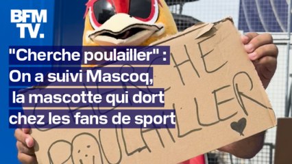 "Cherche poulailler": on a suivi Mascoq, la mascotte qui dort chez les fans de sport