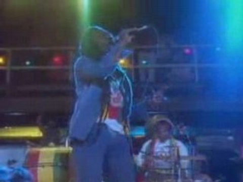 Bunny Wailer - Roots, Radics, Rockers and Reggae