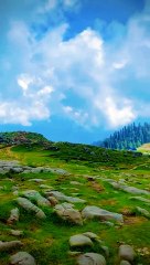 Escape to Toli Peer: The Beauty of Azad Kashmir 