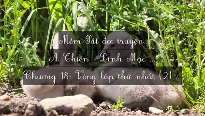 C15-C27 A Thiền - Đinh Mặc
