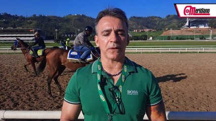 Hipismo: Juan Carlos De Abreu, Entrenador.