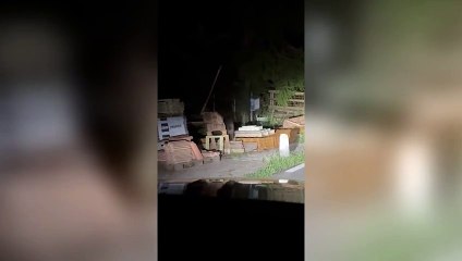 Avvistato un orso a Cimbergo, 32 segnalazioni da gennaio in provincia