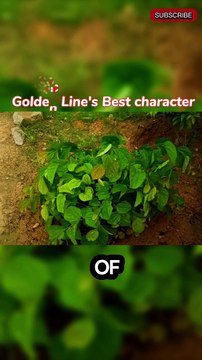 Wisdom Words: Quotes from Great Minds Best Life Quotes for Personal Growth and Success Short and Powerful Quotes to Lift Your Spirits #Quotes #InspirationalQuotes #MotivationalQuotes #FamousQuotes #LifeQuotes #Wisdom #DailyQuotes #PositiveQuotes