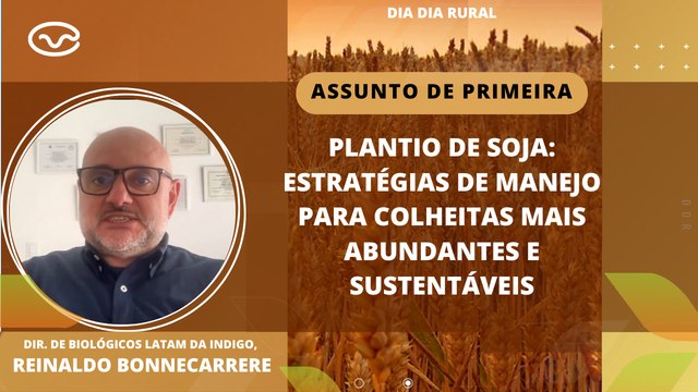 Plantio de soja: Estratégias de manejo para colheitas mais abundantes e sustentáveis