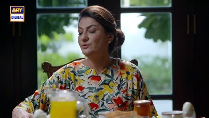 Noor Jahan Episode 28 _ 30 August 2024 _ ARY Digital