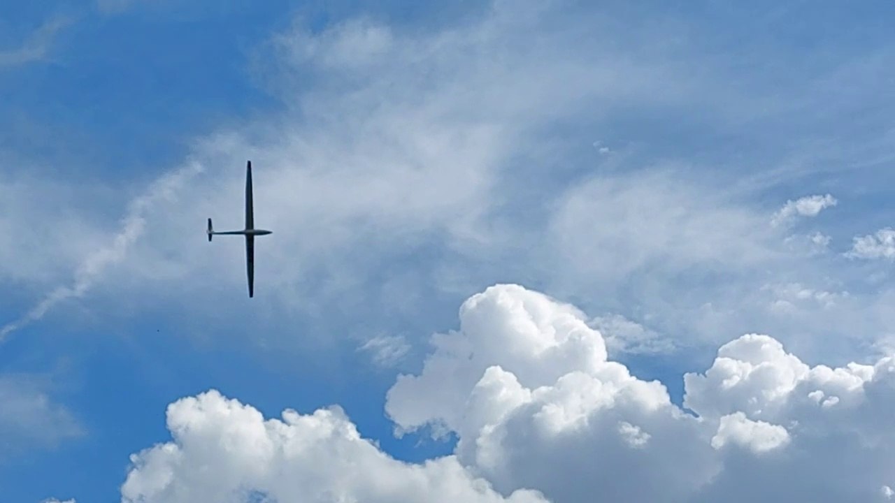 Grossegler kreist vor dem Haus