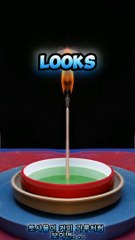 Mind blowing fact...(Korean subtitle)