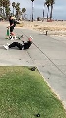 Longboarder dropping down his shades is my favorite part. A skit from NOVIA, a full length video I made for @oldfriends__ playing on YouTube