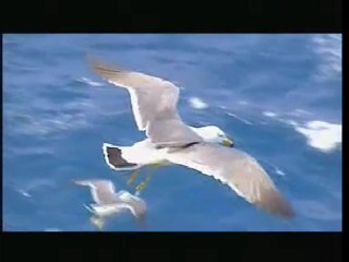 Ndriana Ramamonjy - Hoby (tu m'as donné)