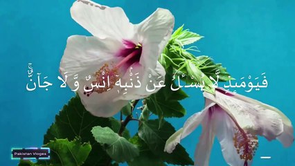Surah Rahman _ سورة الرحمن_ Beautiflu recitation by Husain Adnan Kalarab _ Heart touching Voice(1)