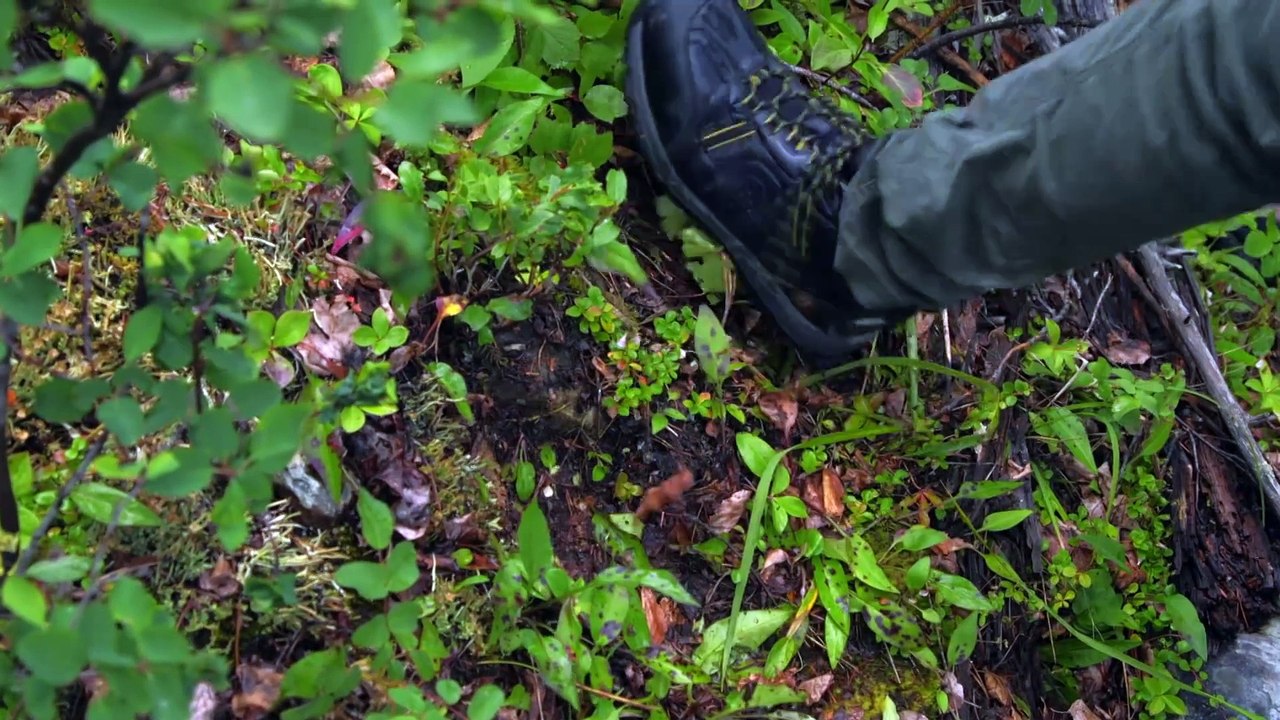 Révélations Paranormales - Sur les traces de Bigfoot