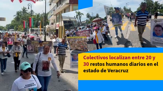 Colectivos localizan entre 20 y 30 restos humanos diarios en el estado de Veracruz