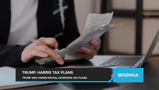 Trump and Harris Unveil Diverging Tax Plans, But Which Plan Can Address the Nation's Fiscal Challenges?