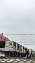 Gambá fazendo "acrobacias" em fios de internet chama atenção de moradores em SC