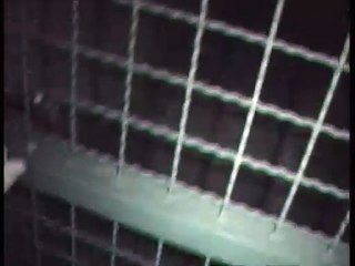 30.08.2024 - Sind alle Hühner und der Chef da ?