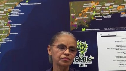 Cenário no Brasil está 'muito propício' para novos incêndios, diz Marina Silva
