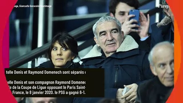 Estelle Denis séparée de Raymond Domenech : cette réaction de la journaliste en dit long sur l'état de leur relation
