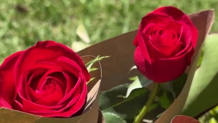 C7 Flores - Event Details