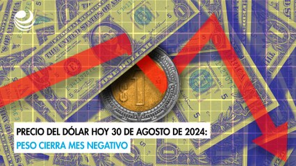 Precio del dólar hoy 30 de agosto de 2024: Peso cierra mes negativo