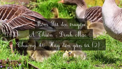 C41-C53 A Thiền - Đinh Mặc