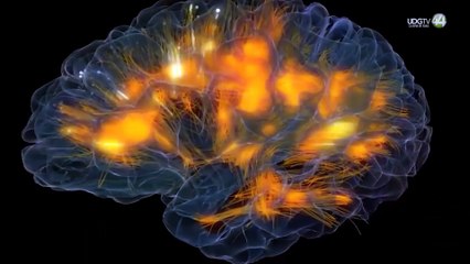 Dormir poco y mal, riesgo latente para desarrollar otras enfermedades