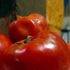 -ANDRÉS DE JESÚS VÉLEZ FRANCO- JARDÍN DE MARIPOSAS EN CASA (PARTE 1) (@AndresdeJesus90)