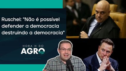 Moraes X Musk: embate ganha grandes proporções; saiba o esperar! | HORA H DO AGRO