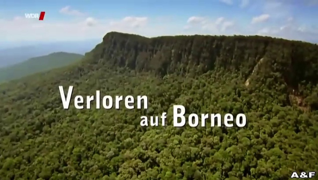 Verloren auf Borneo