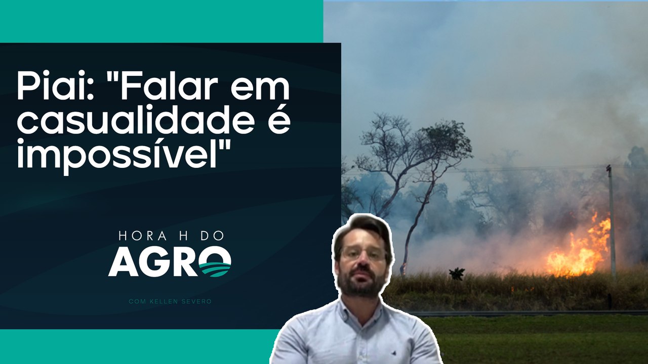 Incêndios criminosos: "É estranho o fogo ter começado no mesmo horário" | HORA H DO AGRO