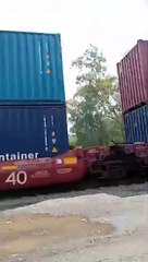 Miles de migrantes viajan en La Bestia rumbo a USA: Solidaridad en su camino al sueño americano 