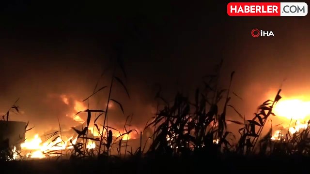 Mersin'deki yangında limon işleme ve paketleme tesisi küle döndü