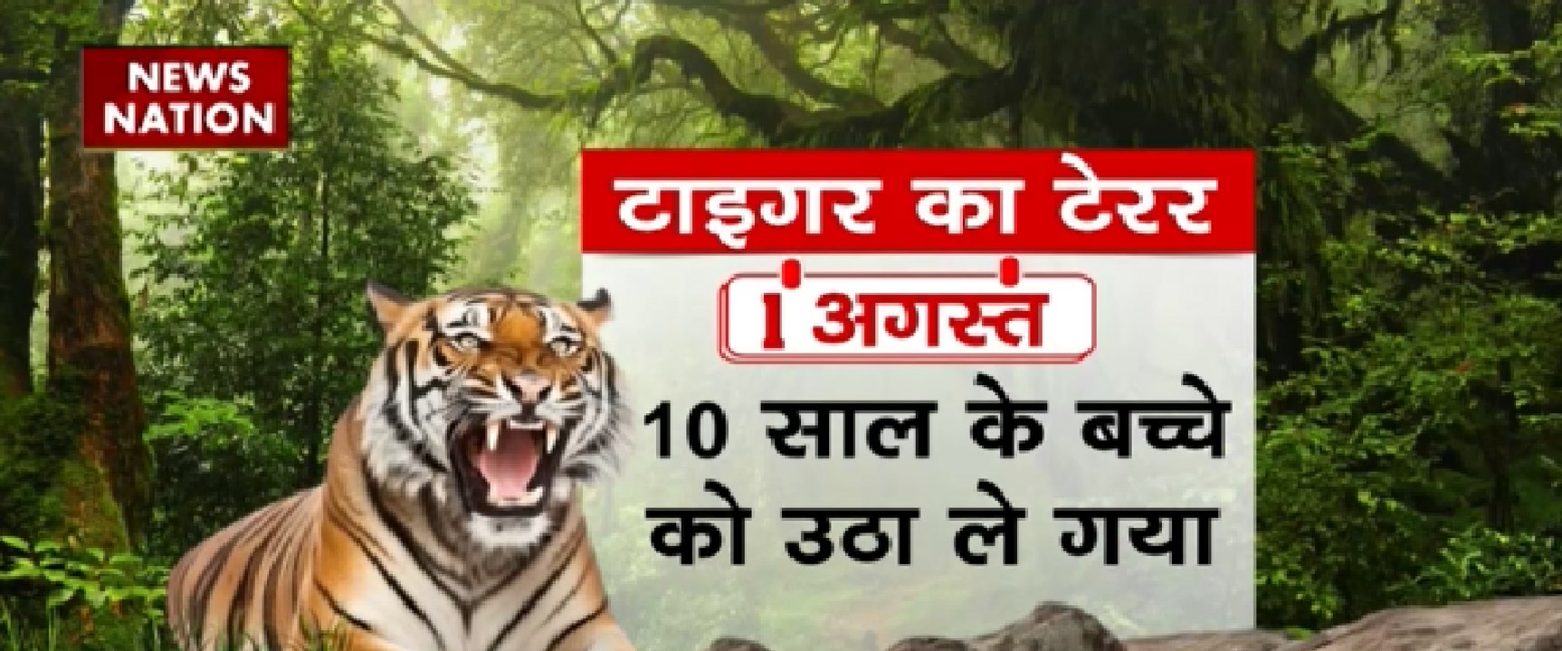 मंदिर की दीवार पर आराम करता दिखा तेंदुआ