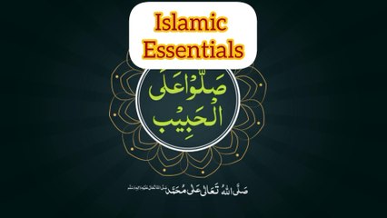 Answering YOUR Islamic History Questions - No Question Is Off Limits