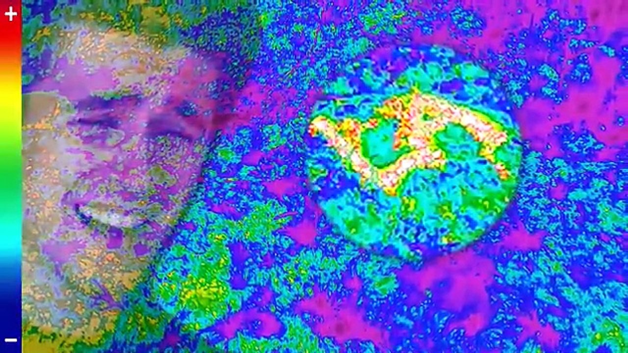 I Survived A Plane Crash