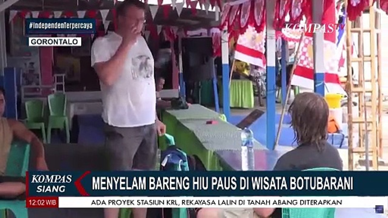 Menikmati Keseruan Bersama Hiu Paus di Lokasi Wisata Botubarani Gorontalo