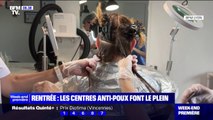 Avant la rentrée, les centres anti-poux font le plein