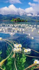 Viral nature | deep relaxation | most beautiful view
