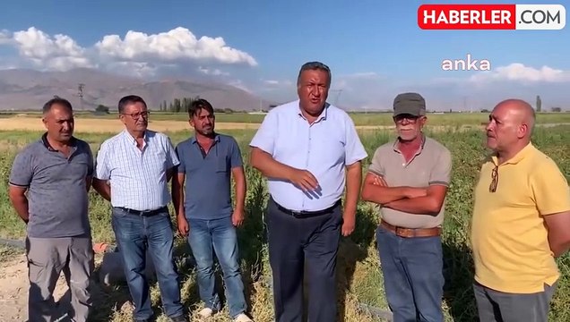 Domates Üreticileri Sorunlarını Anlattı: Salça Fabrikalarına Borçlu Kalıyoruz