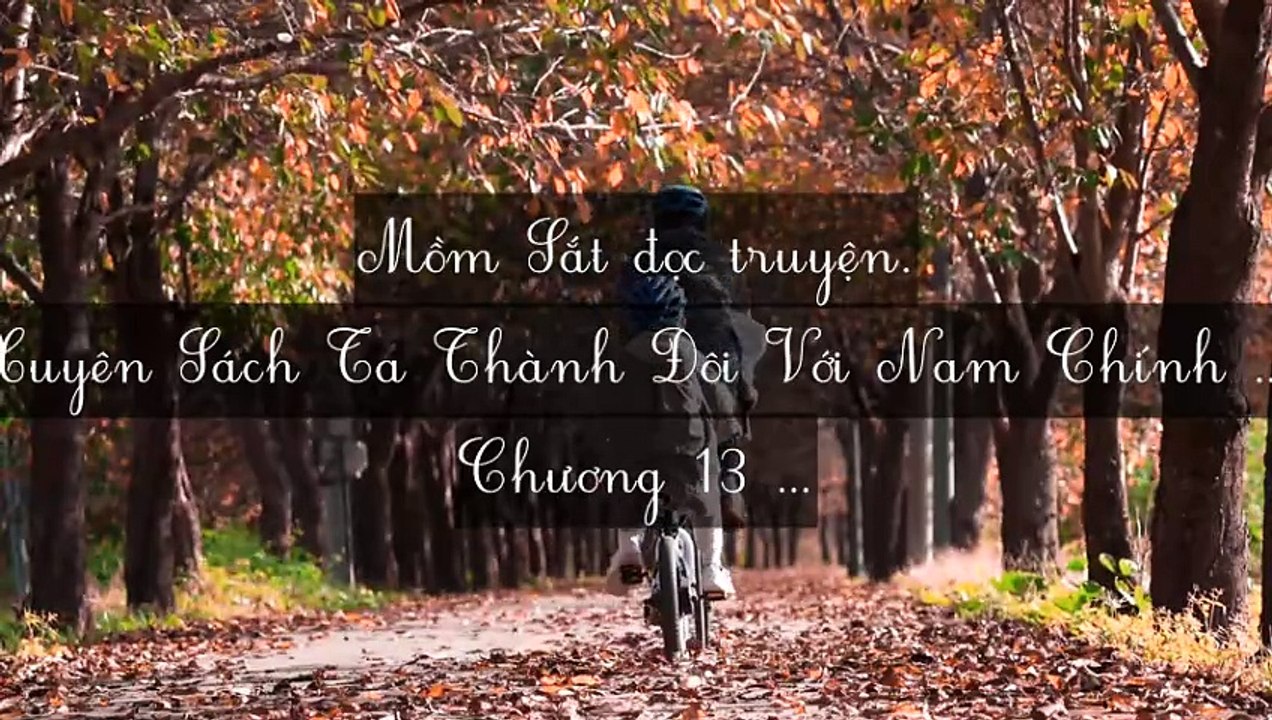 C11-C20 Xuyên Sách Ta Thành Đôi Với Nam Chính Phản Diện