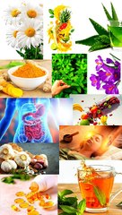 THE TOP 10 MOST POWERFUL MEDICAL PLANTS | ‍ | Useful Insights | No. 7