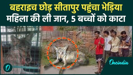 Bahraich: भेड़िया भागकर पहुंचा Sitapur, महिला को मारा, 5 बच्चों को काटा | वनइंडिया हिंदी