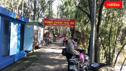 Tra Su eco-tourism area