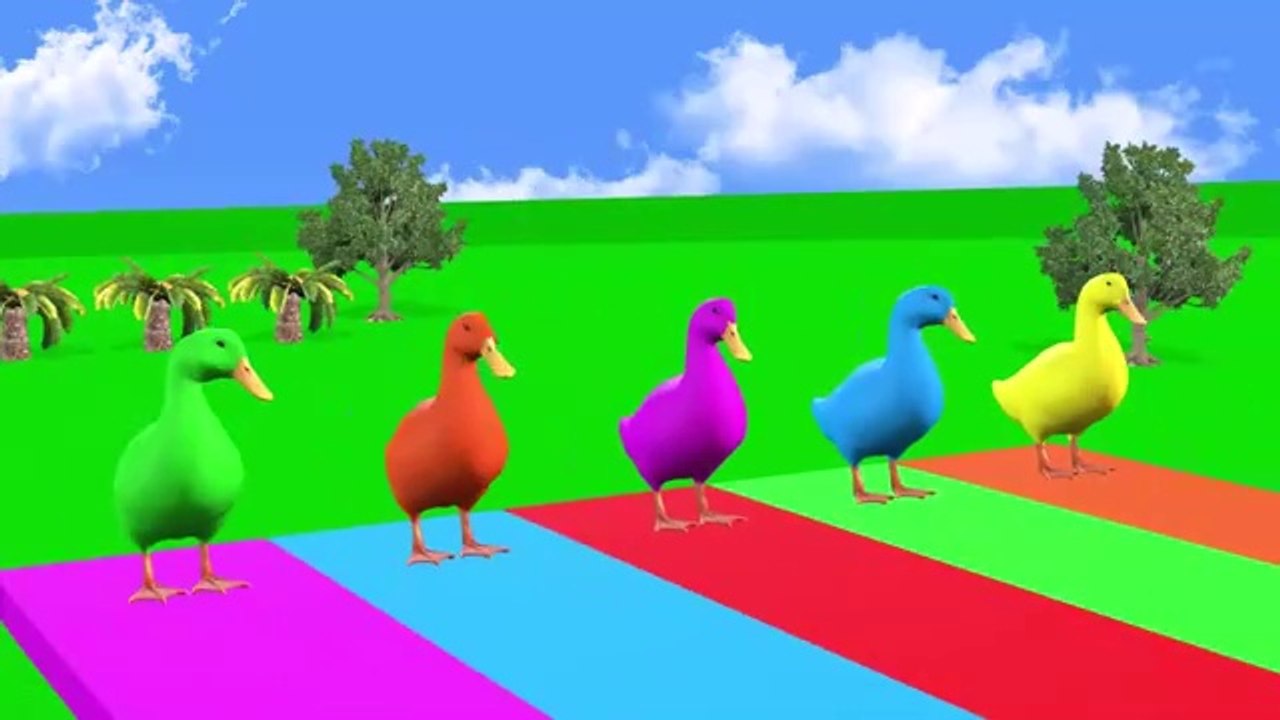 Animal video for kids