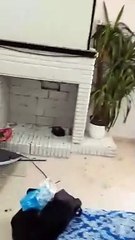 Destrozo de una de las viviendas gitanas