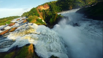 African Wildlife by Drone