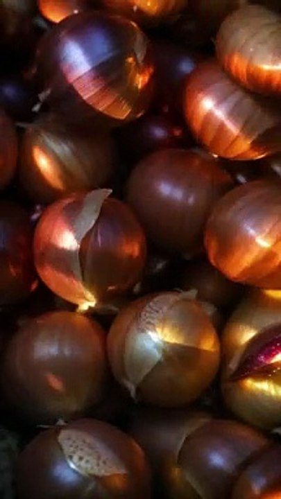 Animations video #potato #food #trending #shorts