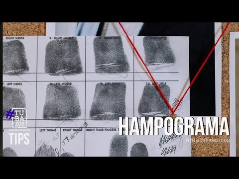 Hampograma de Camacaro Hoyos: ¿Cuántas personas integran su organización delictiva?