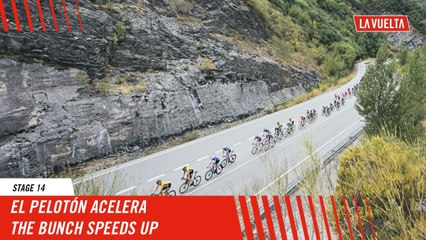 Stage 14 of La Vuelta 2024: The Bunch Accelerates 🚴‍♂️